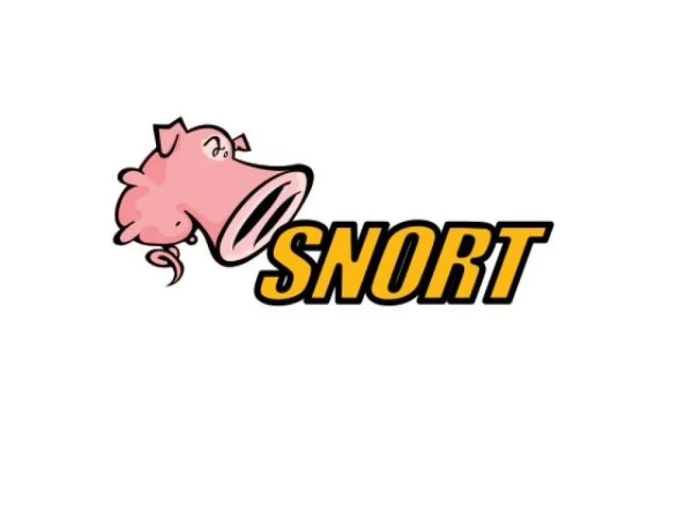 Image of Snort Training Course