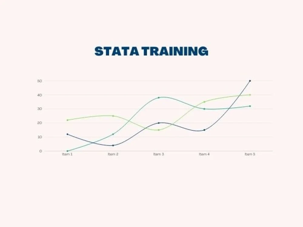 Image of Stata Training