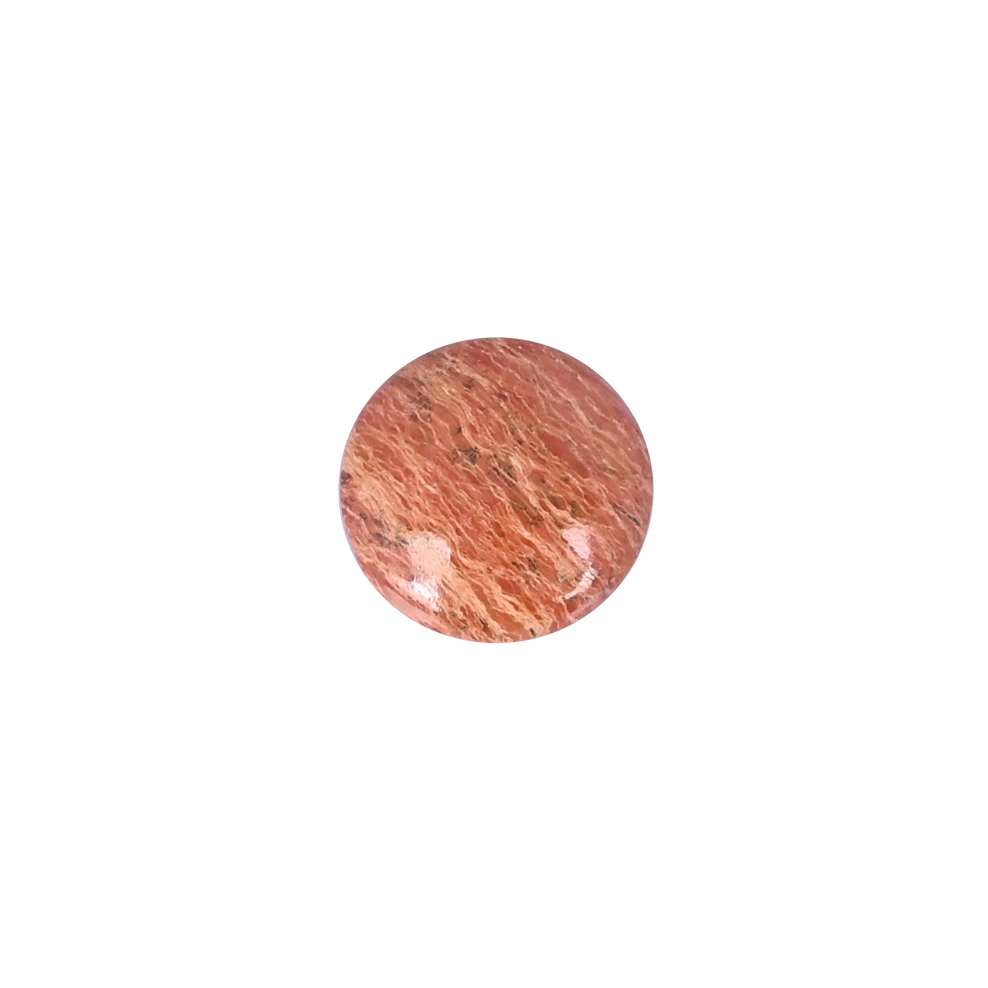 Dinosaur bone Loose Gemstone 139 Carat Round 19x19 mm Flat-back Cabochon for Jewelry Making  1 Pcs