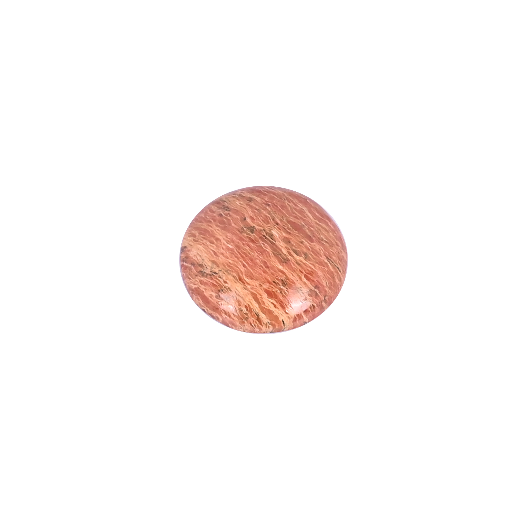 Dinosaur bone Loose Gemstone 139 Carat Round 19x19 mm Flat-back Cabochon for Jewelry Making  1 Pcs
