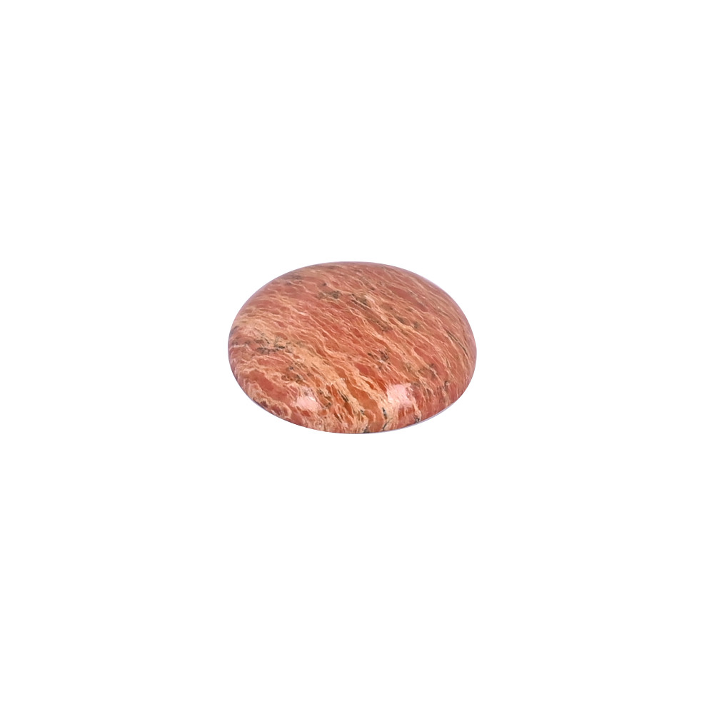 Image of Dinosaur bone Loose Gemstone 13.9 Carat Round 19x19 mm Flat-back Cabochon for Jewelry Making | 1 Pcs