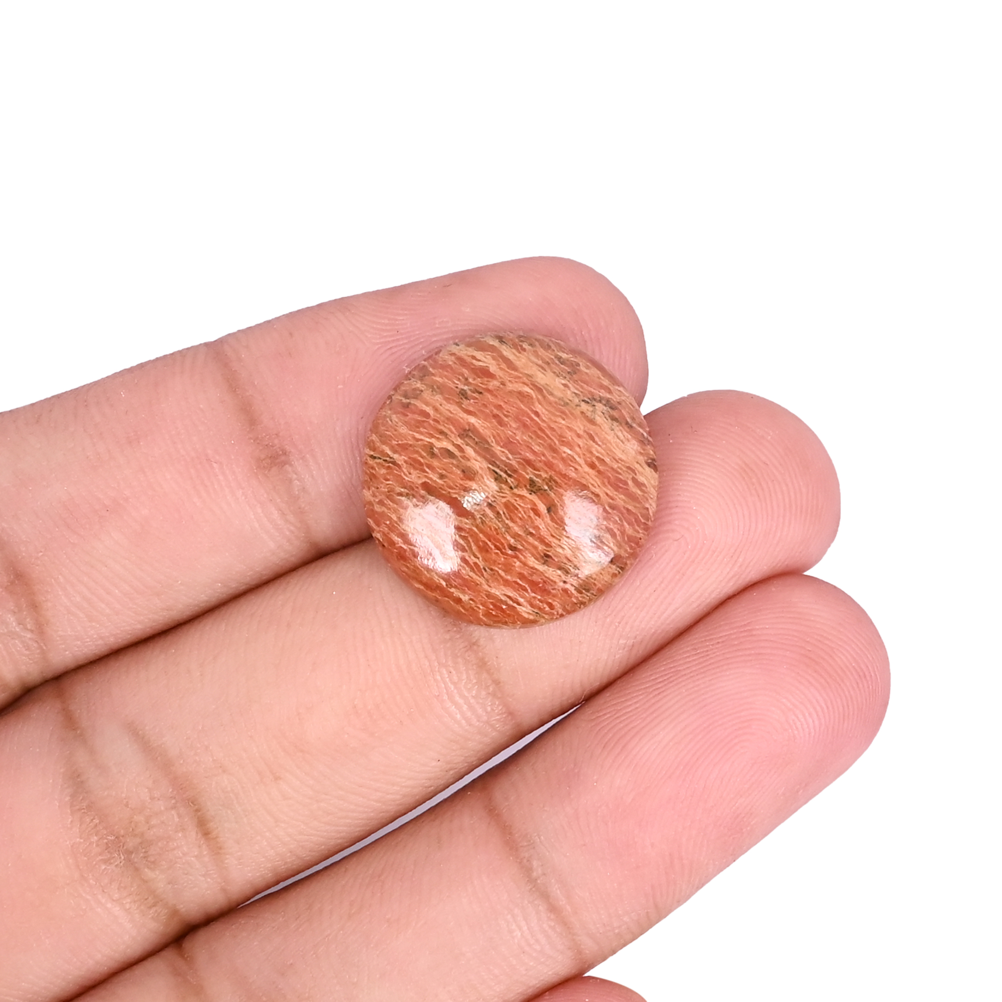 Dinosaur bone Loose Gemstone 139 Carat Round 19x19 mm Flat-back Cabochon for Jewelry Making  1 Pcs
