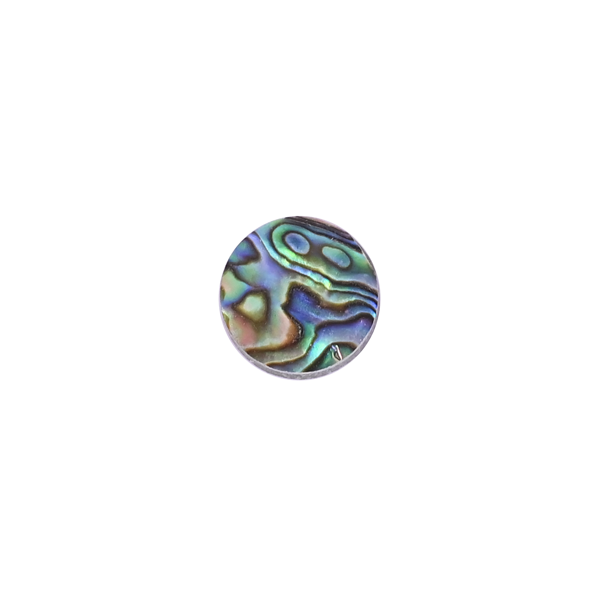 Natural Abalone Loose Gemstone -65 Carat Round 14x14 mm Flat-back Cabochon for Jewelry Making