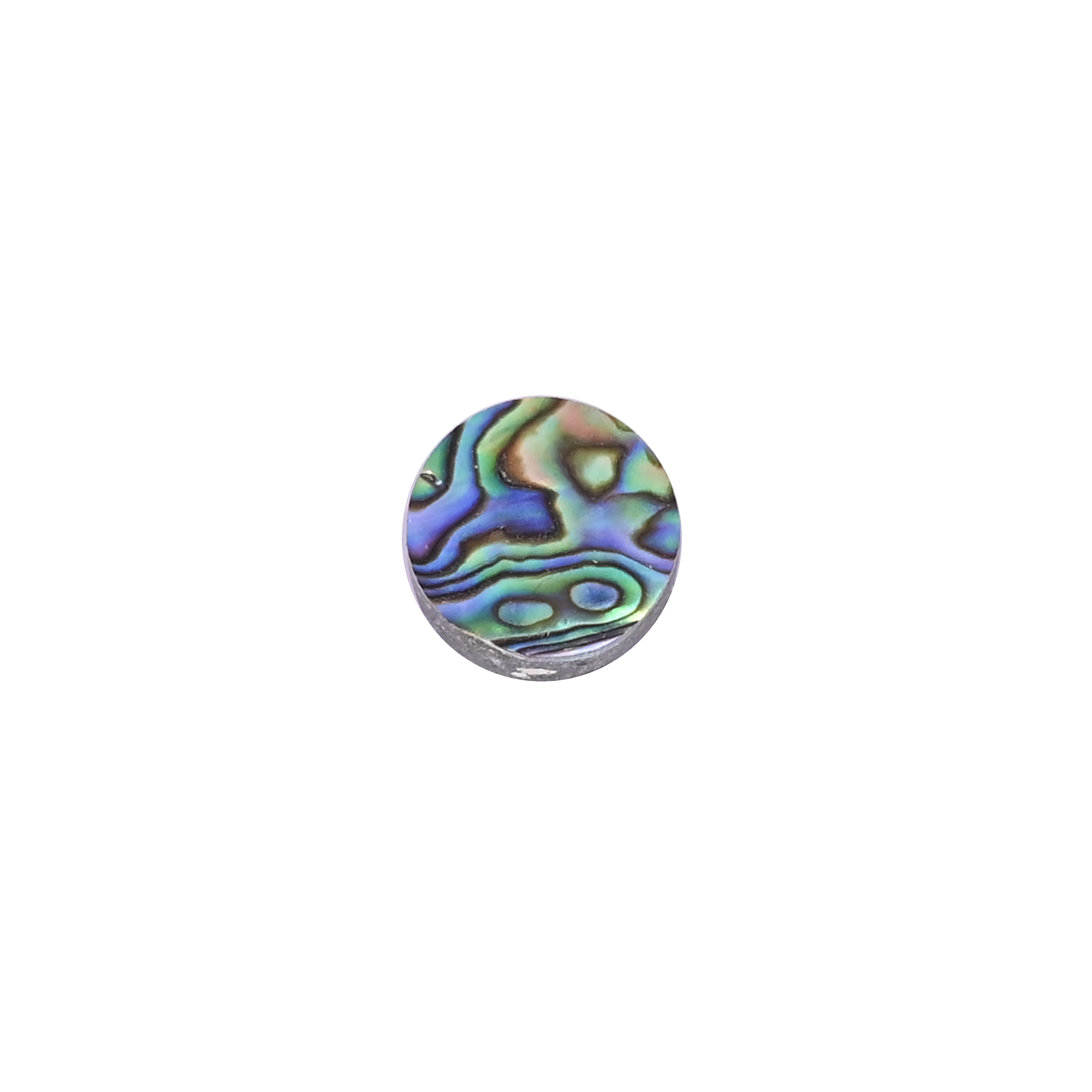 Natural Abalone Loose Gemstone -65 Carat Round 14x14 mm Flat-back Cabochon for Jewelry Making