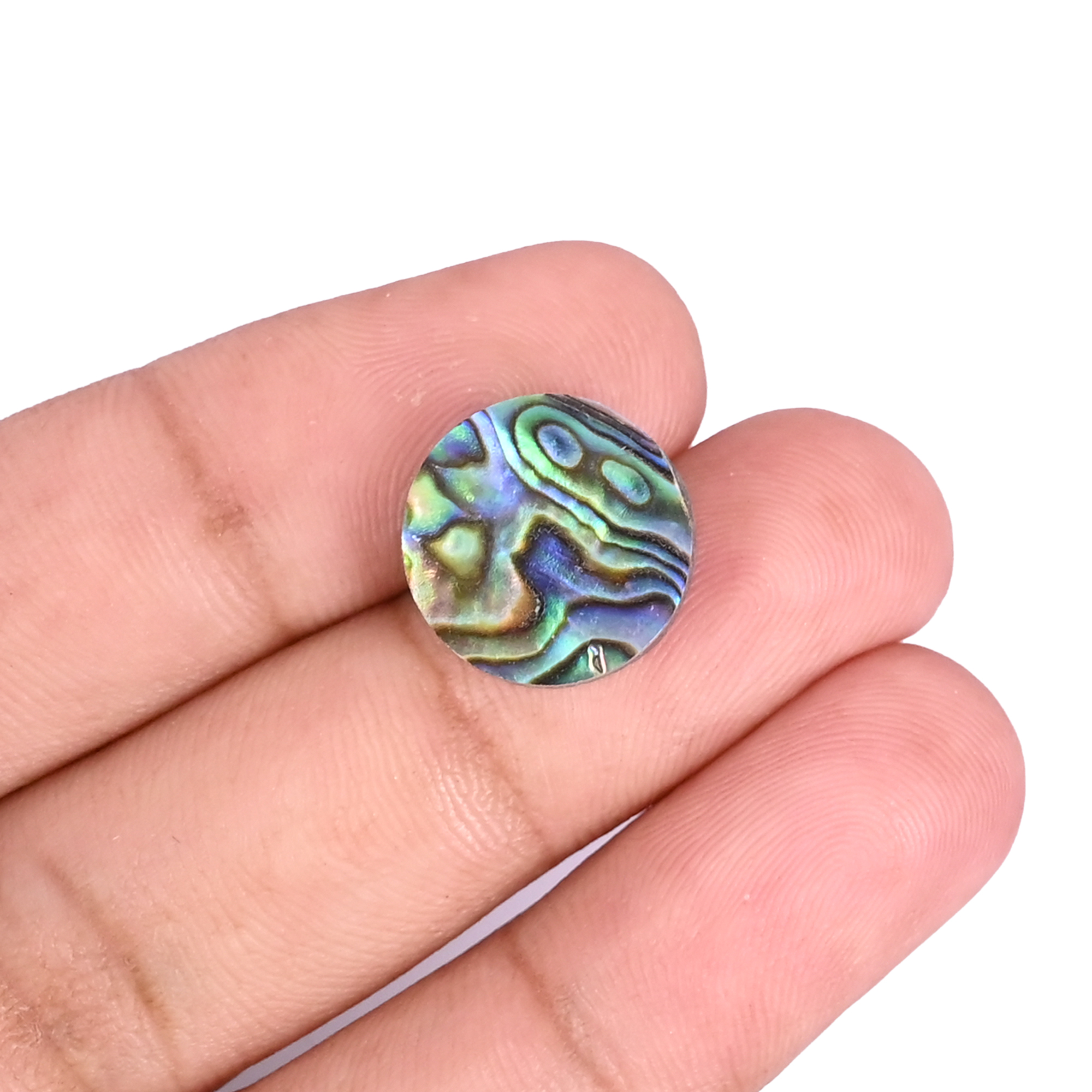 Natural Abalone Loose Gemstone -65 Carat Round 14x14 mm Flat-back Cabochon for Jewelry Making