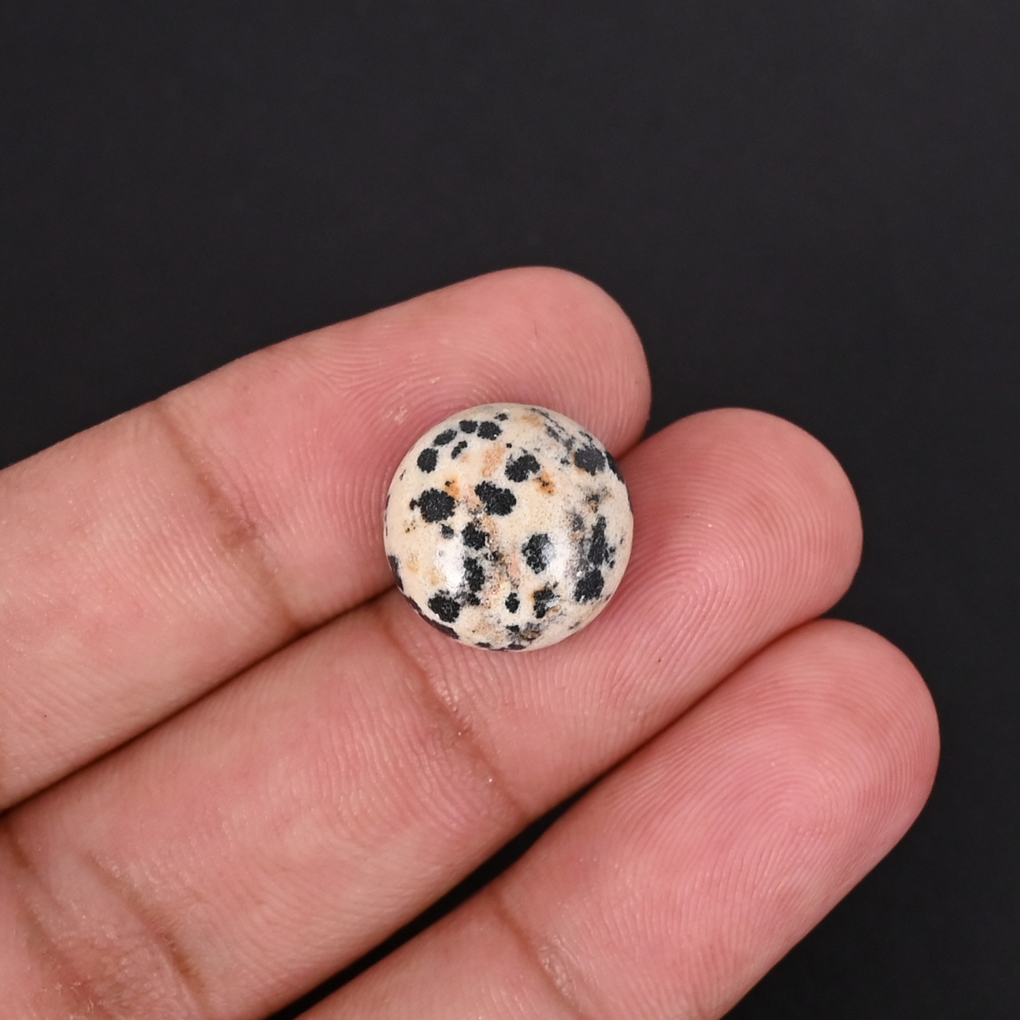 Natural Dalmatian jasper Loose Gemstone -118 Carat Hemisphere 14x14 mm Flat-back Cabochon for Jewelry Making