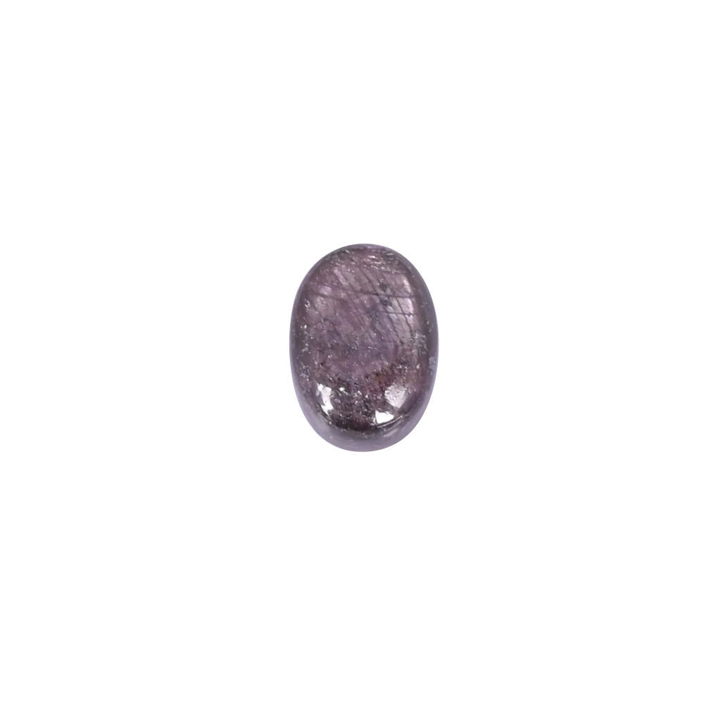 Image of Dinosaur bone Loose Gemstone 10.4 Carat Oval 14x10 mm Flat-back Cabochon for Jewelry Making | 1 Pcs