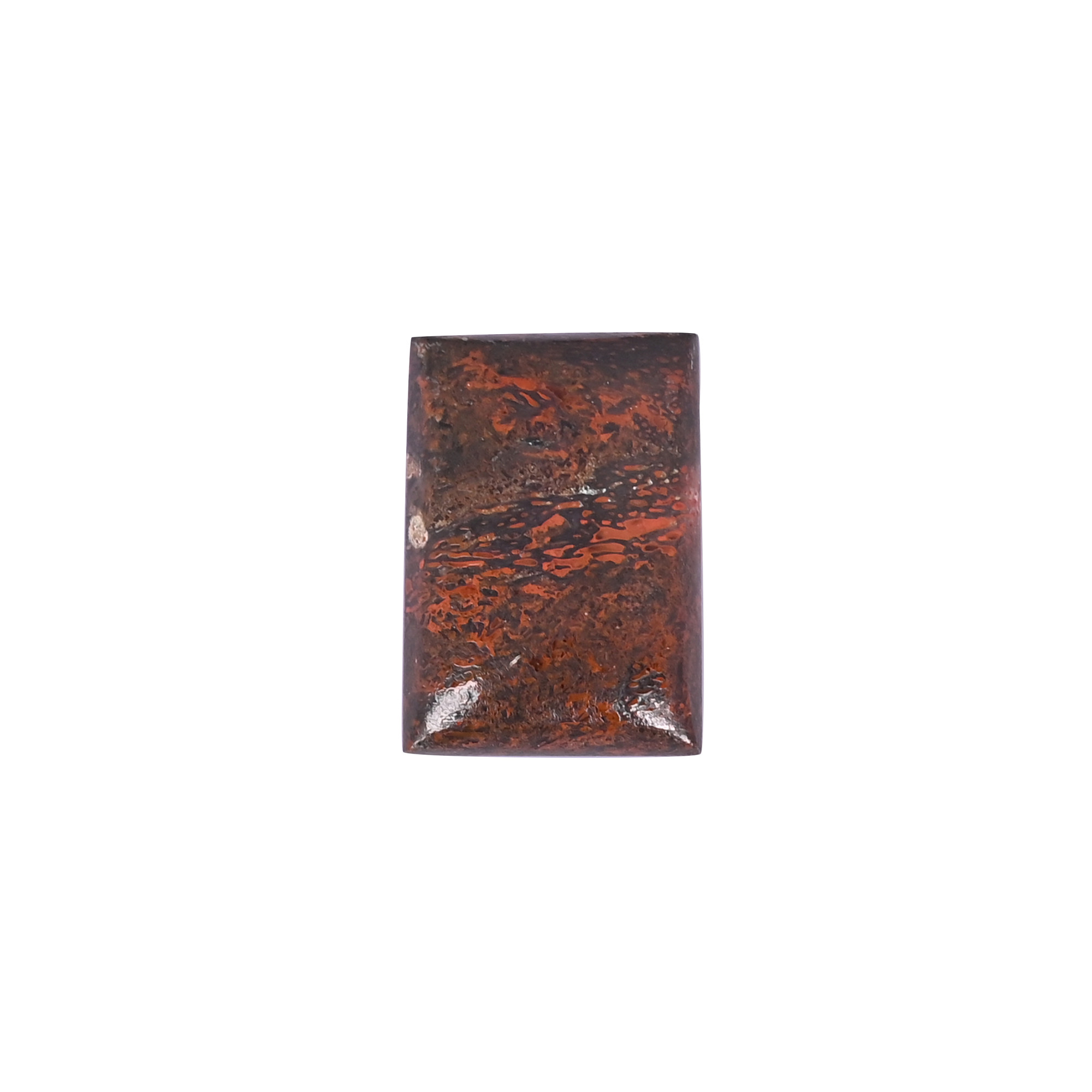 Dinosaur bone Loose Gemstone 305 Carat Rectangle 28x19 mm Flat-back Cabochon for Jewelry Making 1 Pcs