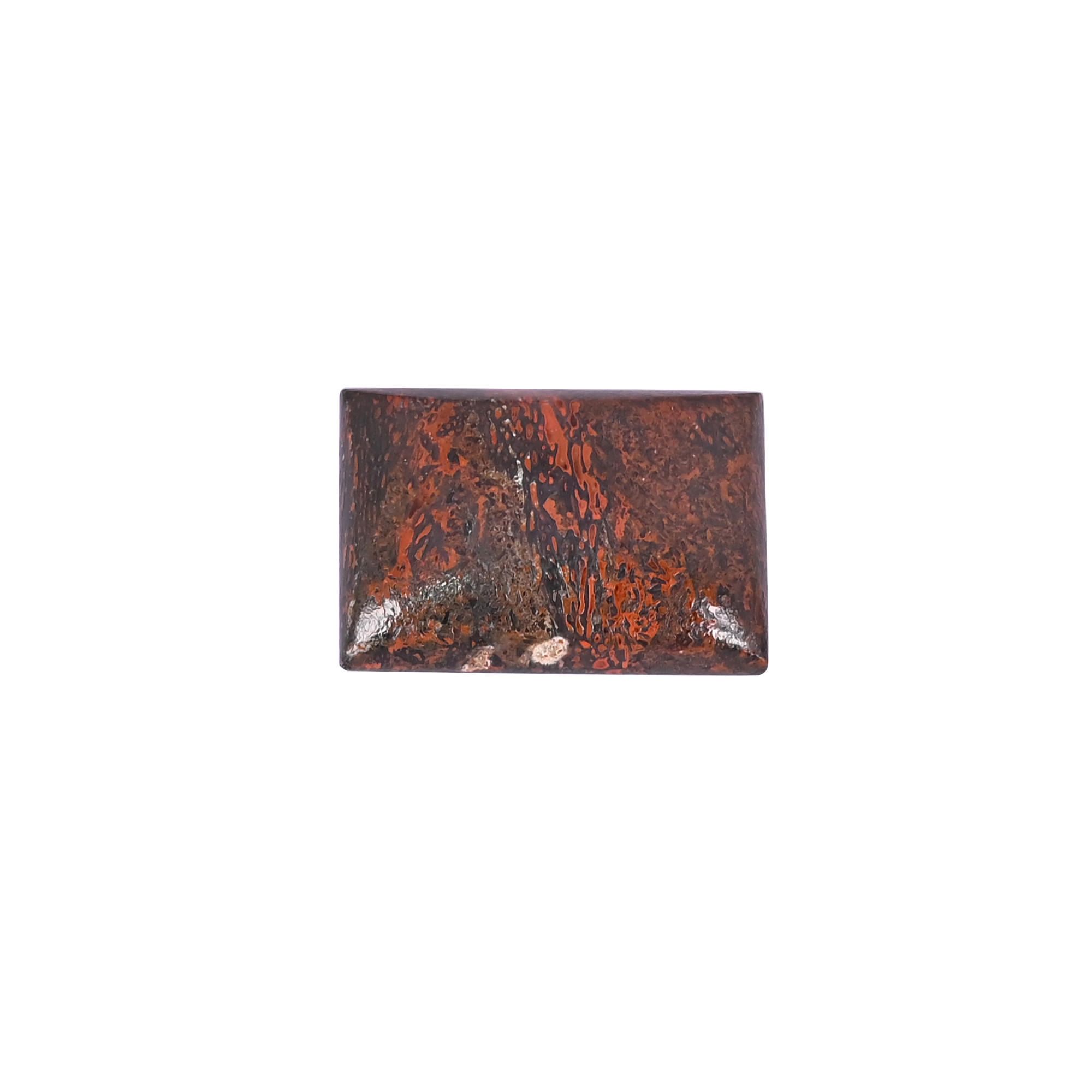 Dinosaur bone Loose Gemstone 305 Carat Rectangle 28x19 mm Flat-back Cabochon for Jewelry Making 1 Pcs