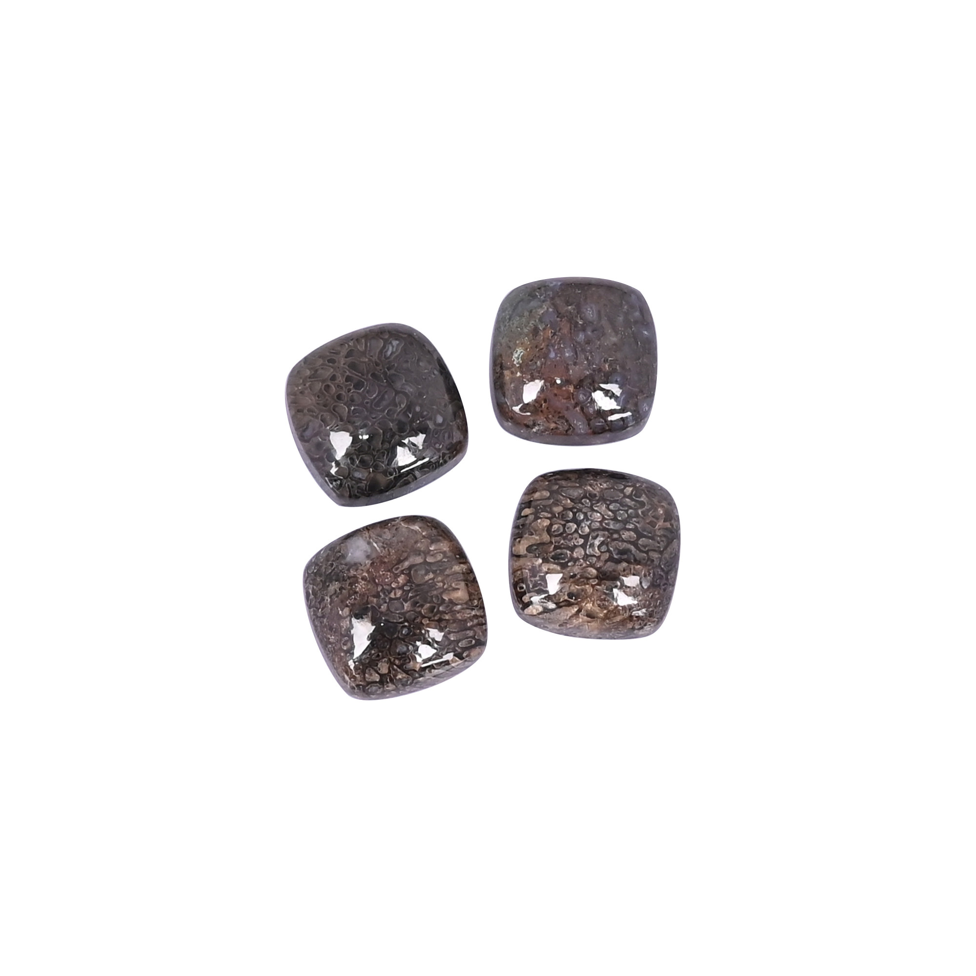 Dinosaur bone Loose Gemstone 67 Carat Square 12x12 mm Flat-back Cabochon for Jewelry Making 1 Pcs