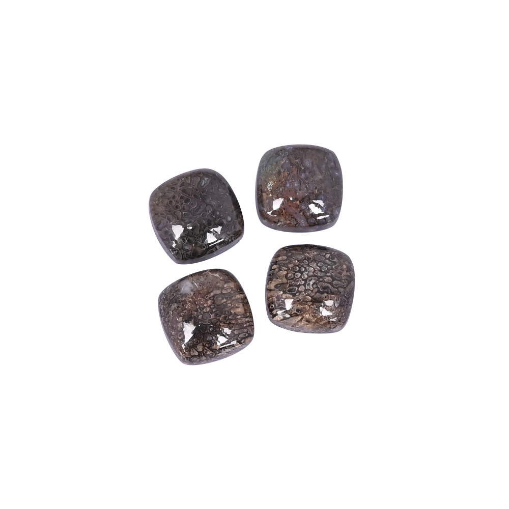 Image of Dinosaur bone Loose Gemstone 6.7 Carat Square 12x12 mm Flat-back Cabochon for Jewelry Making | 1 Pcs