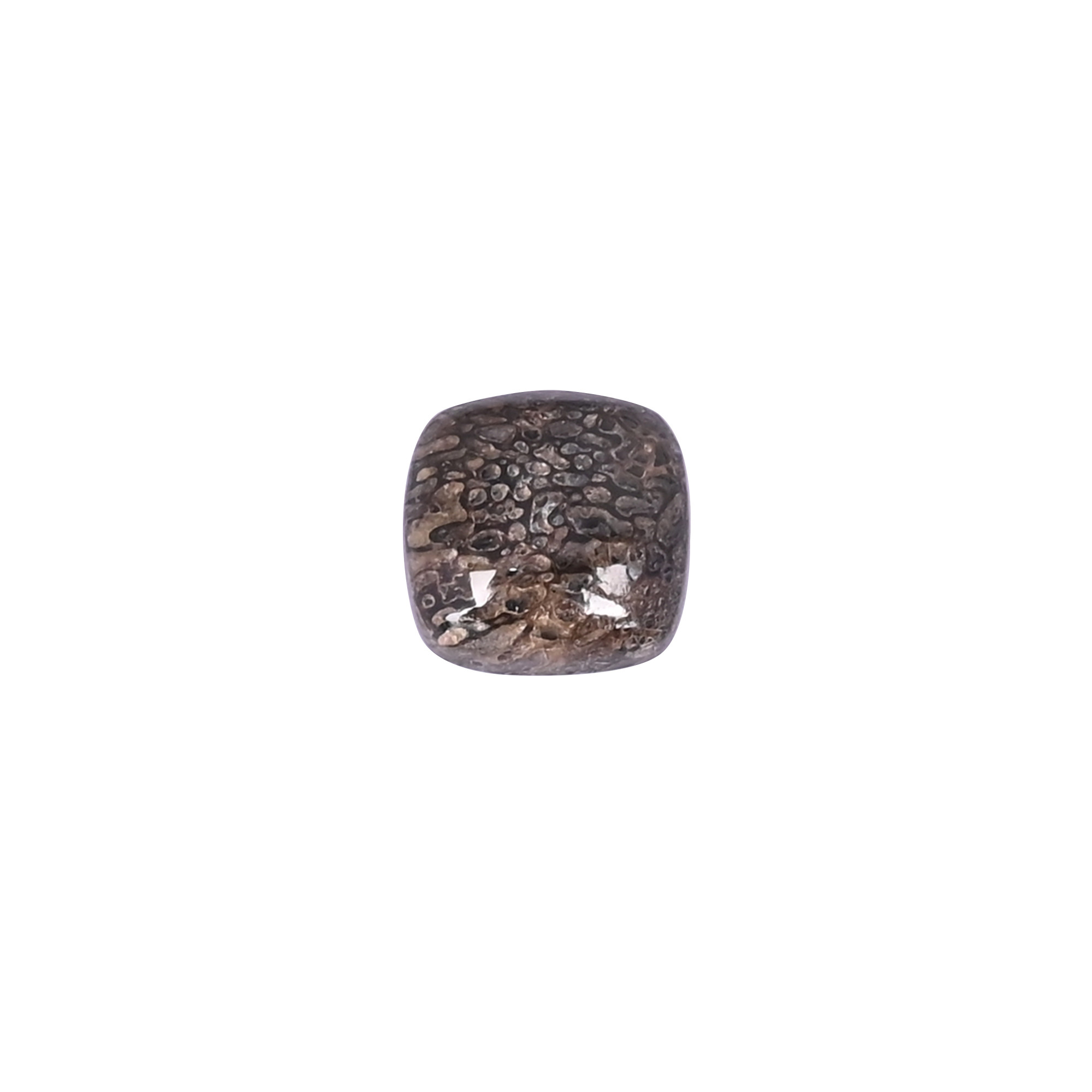 Dinosaur bone Loose Gemstone 67 Carat Square 12x12 mm Flat-back Cabochon for Jewelry Making 1 Pcs