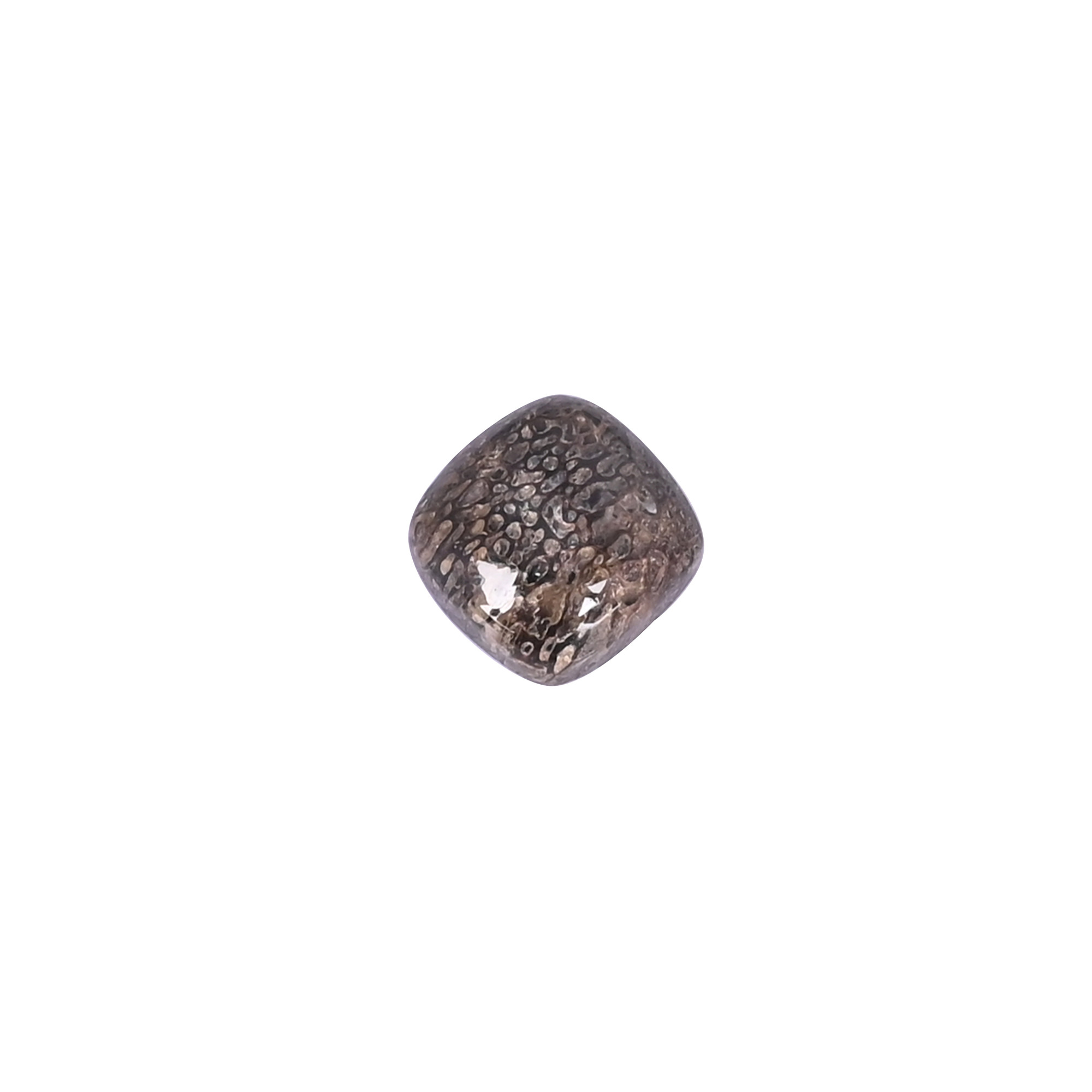 Dinosaur bone Loose Gemstone 67 Carat Square 12x12 mm Flat-back Cabochon for Jewelry Making  1 Pcs