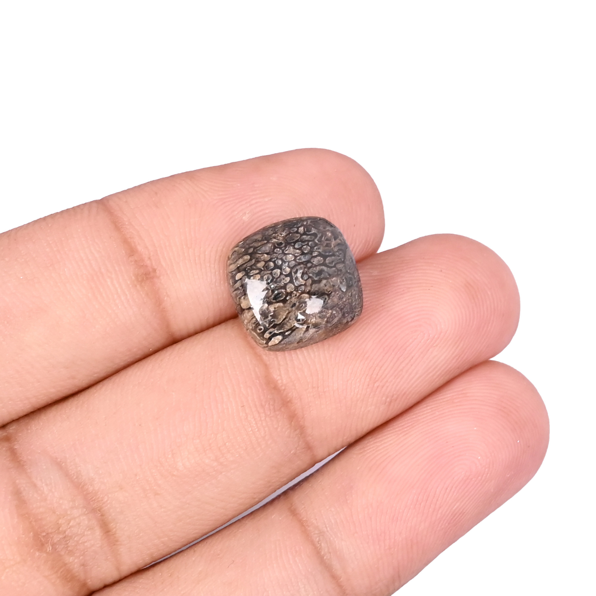 Dinosaur bone Loose Gemstone 67 Carat Square 12x12 mm Flat-back Cabochon for Jewelry Making 1 Pcs