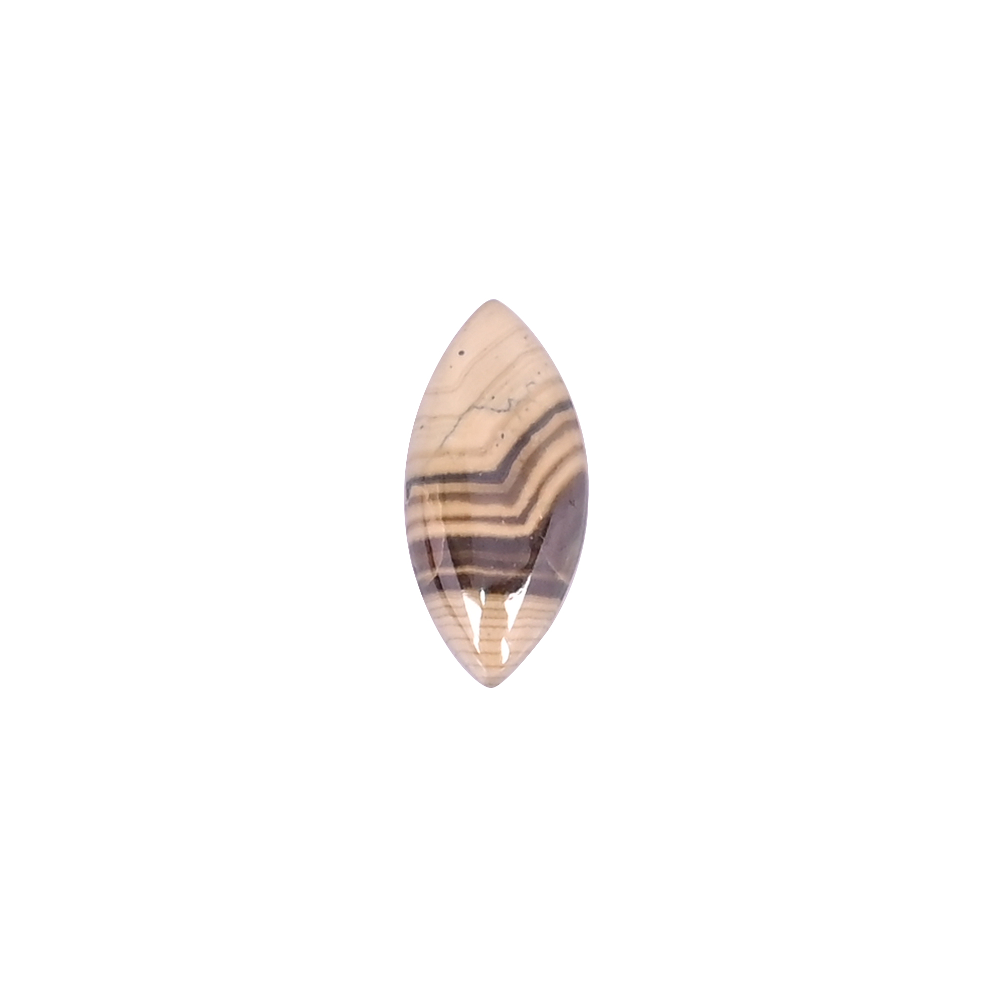 Natural Zebra Jasper Loose Gemstone 15 Carat Marquise 11x5 mm Flat-back Faceted Stone for Jewelry Making  1 Pcs