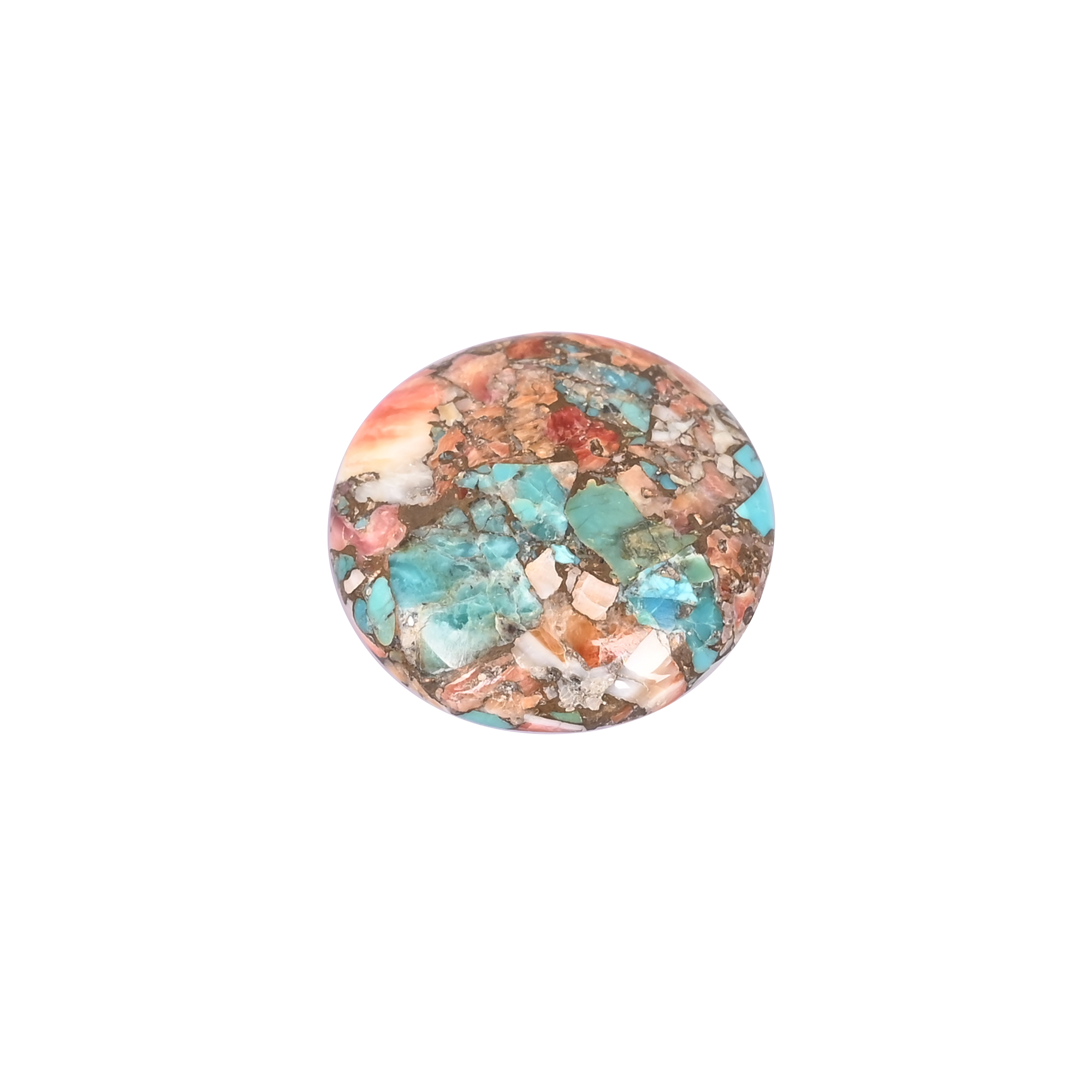 Exotic Oyster Turquoise Round Shape Cabochon for Custom Jewelry Design