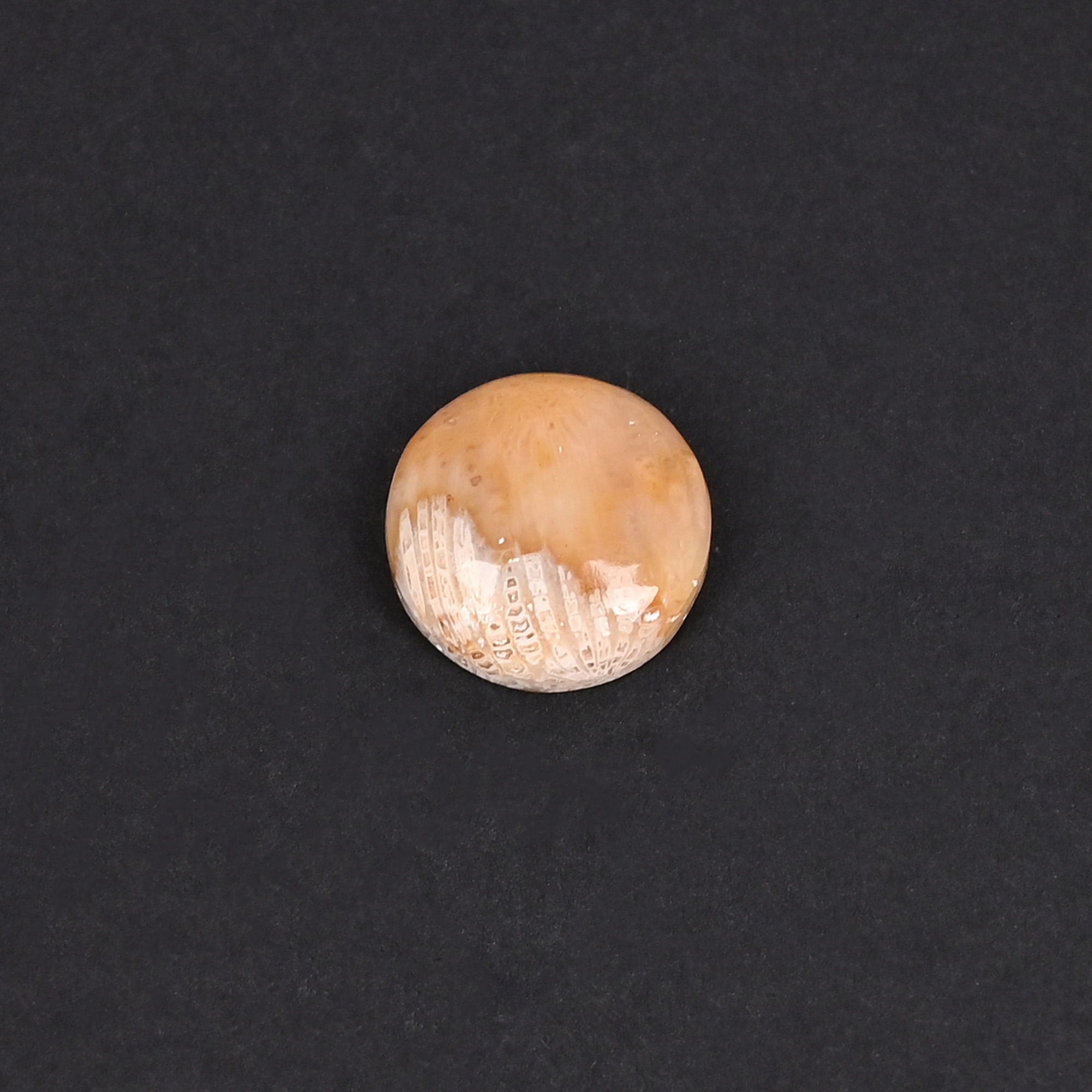Natural Coral Loose Gemstone 101 Carat Round 15x15 mm Flat-back Cabochon for Jewelry Making  1 Pcs