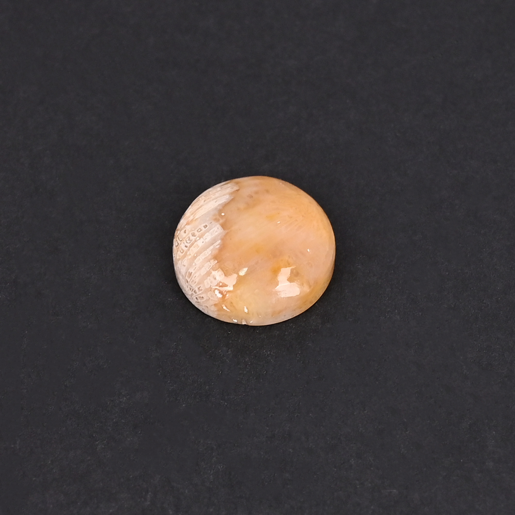 Natural Coral Loose Gemstone 101 Carat Round 15x15 mm Flat-back Cabochon for Jewelry Making 1 Pcs