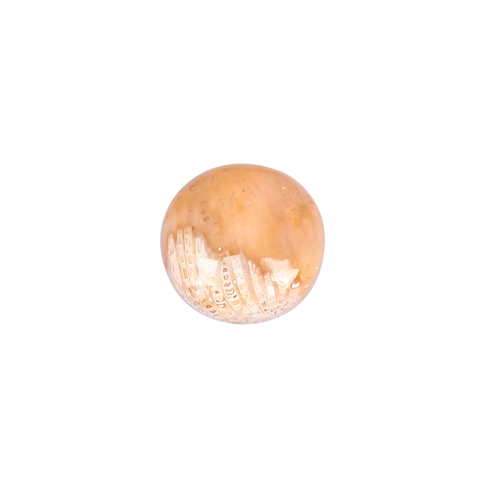 Image of Natural Coral Loose Gemstone 10.1 Carat Round 15x15 mm Flat-back Cabochon for Jewelry Making | 1 Pcs