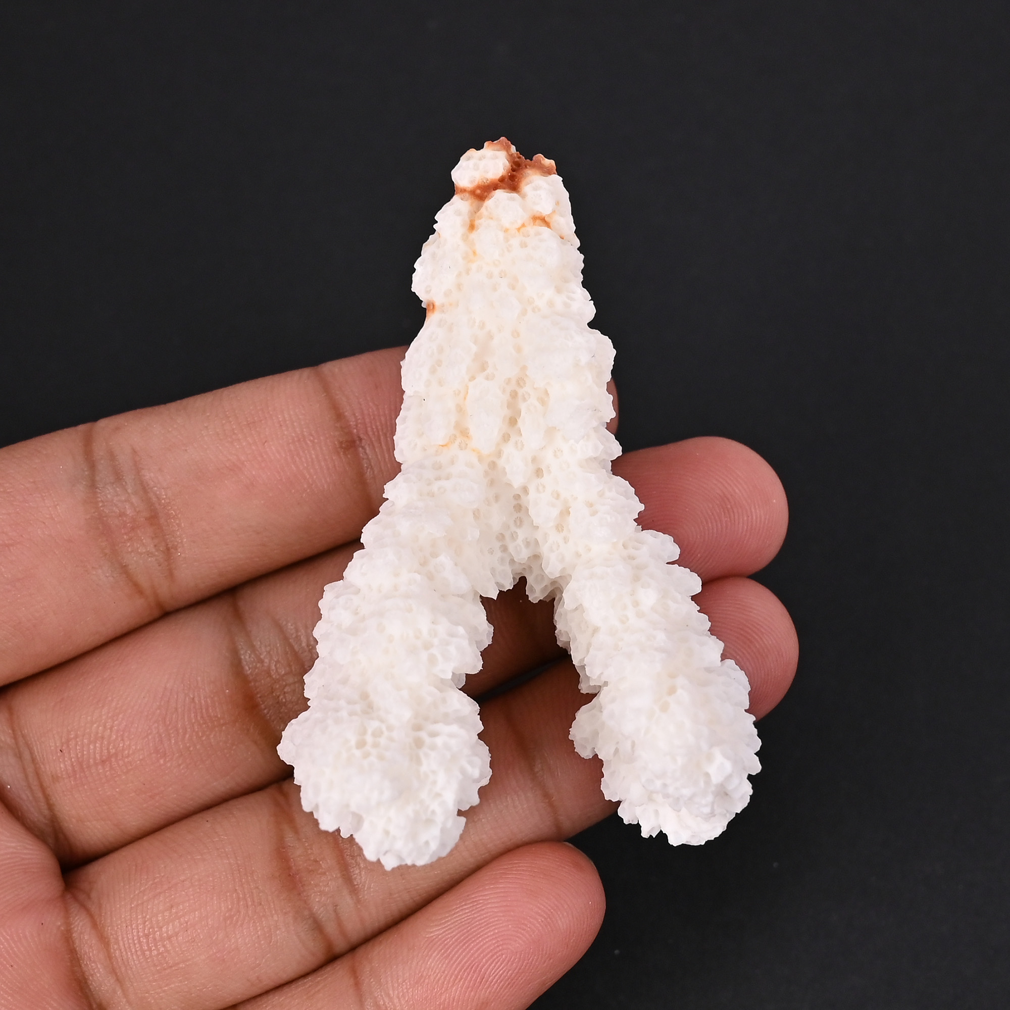 Natural White Coral Loose Gemstone 124 Carat Irregular 64x39 mm Raw Stone for Jewelry Making  1 Pcs