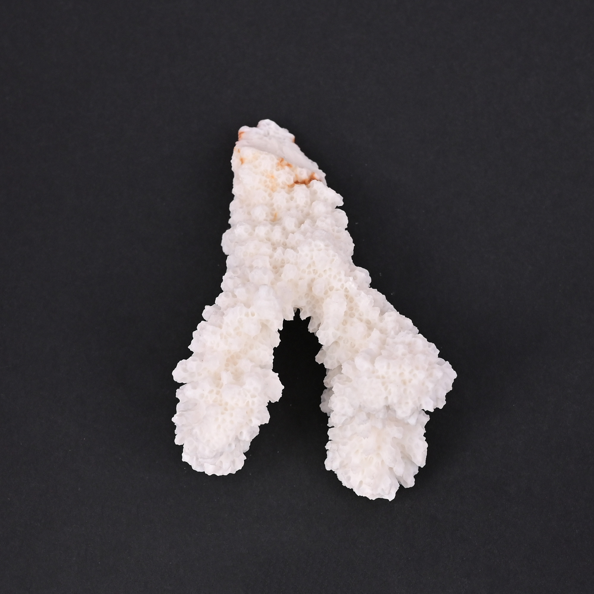 Natural White Coral Loose Gemstone 124 Carat Irregular 64x39 mm Raw Stone for Jewelry Making  1 Pcs