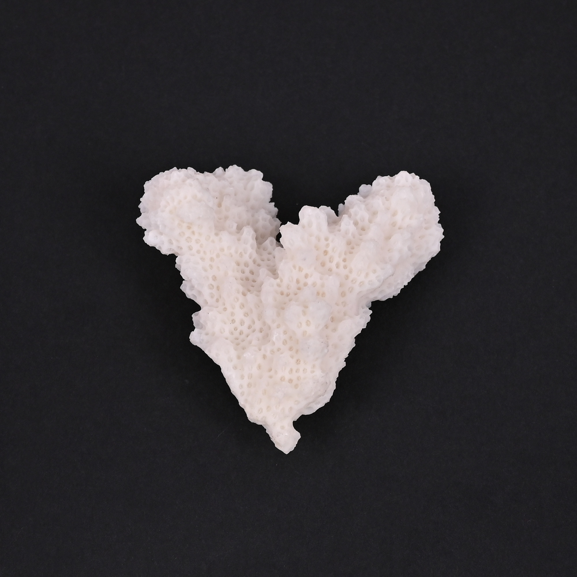 Natural White Coral Loose Gemstone 858 Carat Irregular 45x37 mm Raw Stone for Jewelry Making  1 Pcs