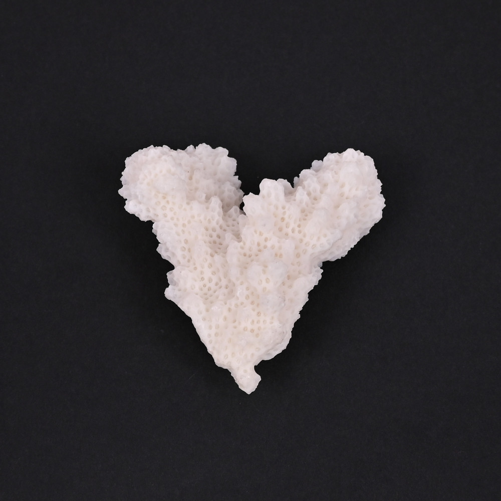 Image of Natural White Coral Loose Gemstone 85.8 Carat Irregular 45x37 mm Raw Stone for Jewelry Making | 1 Pcs