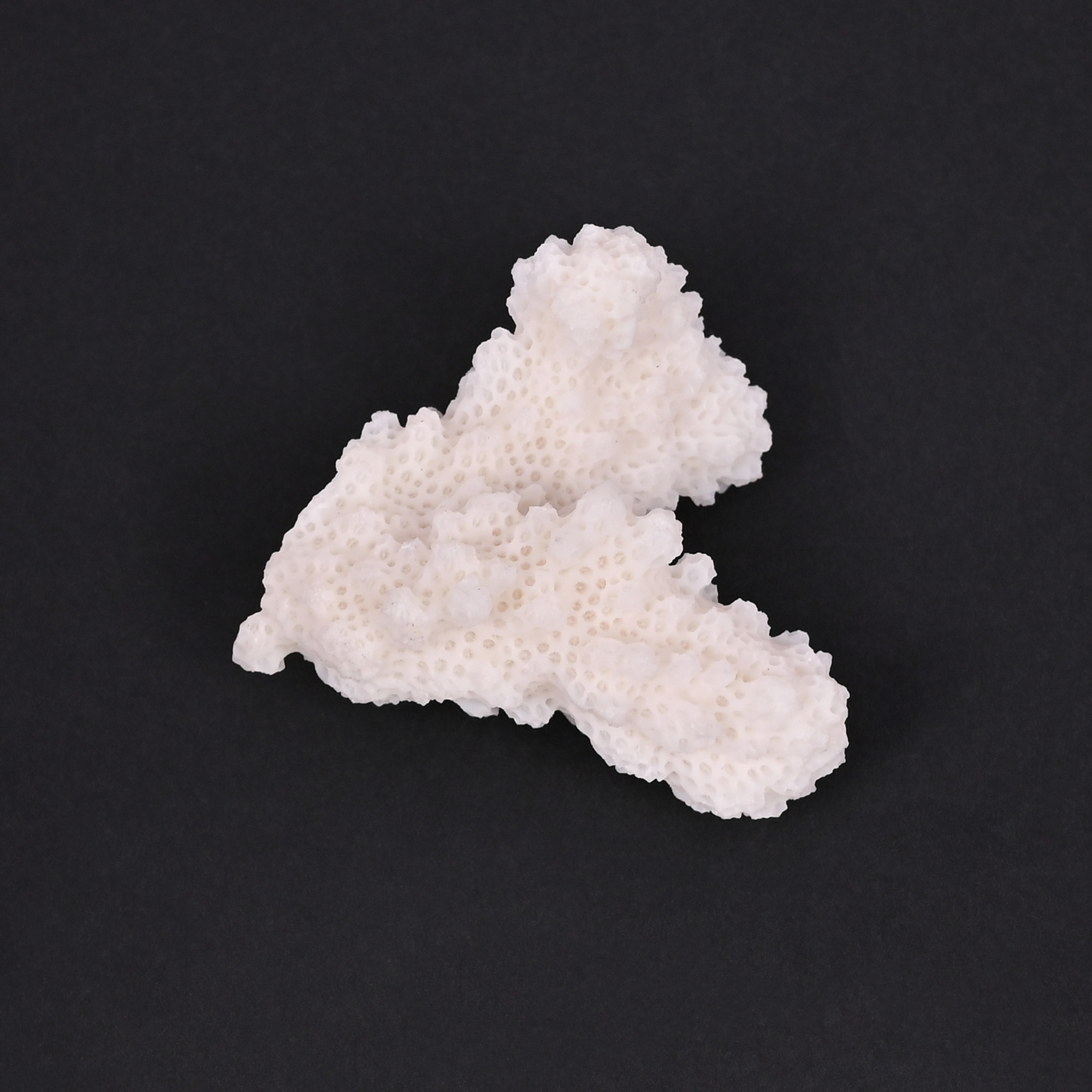 Natural White Coral Loose Gemstone 858 Carat Irregular 45x37 mm Raw Stone for Jewelry Making 1 Pcs