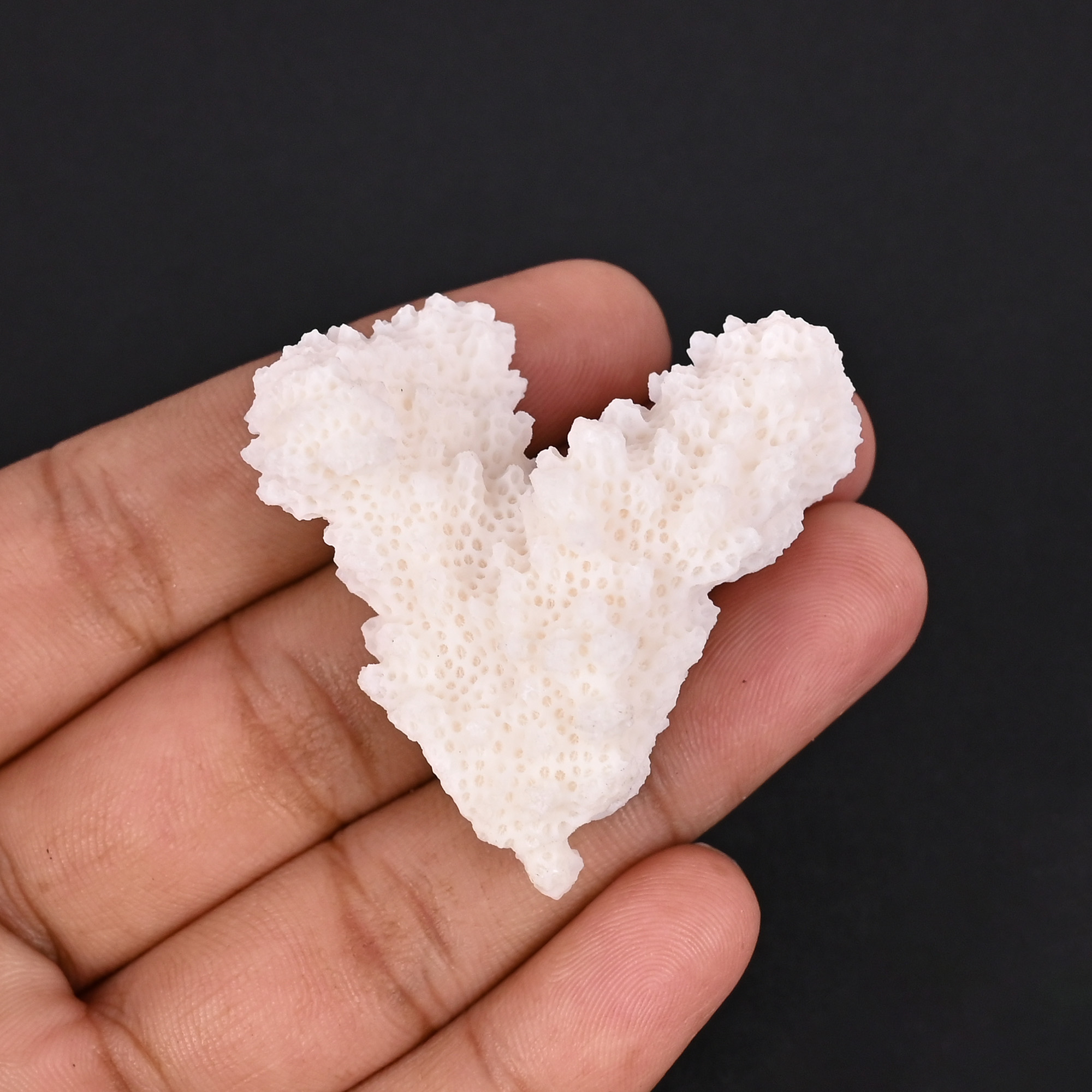 Natural White Coral Loose Gemstone 858 Carat Irregular 45x37 mm Raw Stone for Jewelry Making 1 Pcs