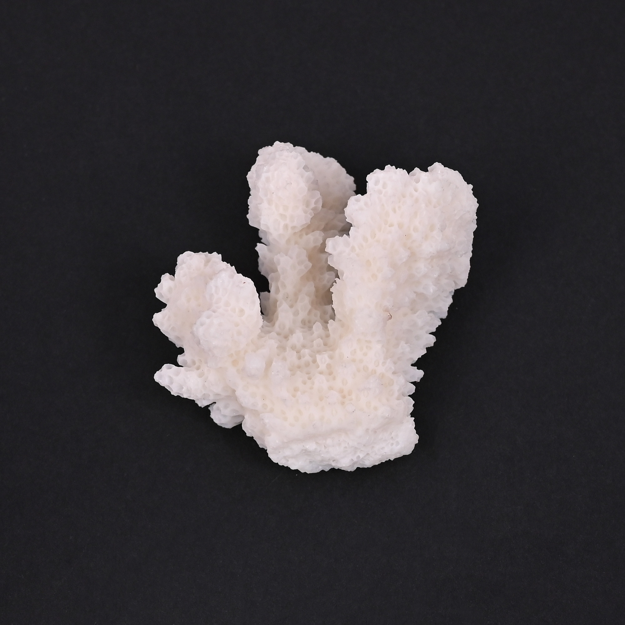 Natural White Coral Loose Gemstone 100 Carat Irregular 47x32 mm Raw Stone for Jewelry Making 1 Pcs