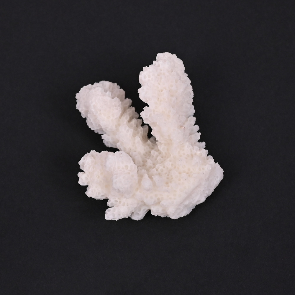 Image of Natural White Coral Loose Gemstone 100 Carat Irregular 47x32 mm Raw Stone for Jewelry Making | 1 Pcs