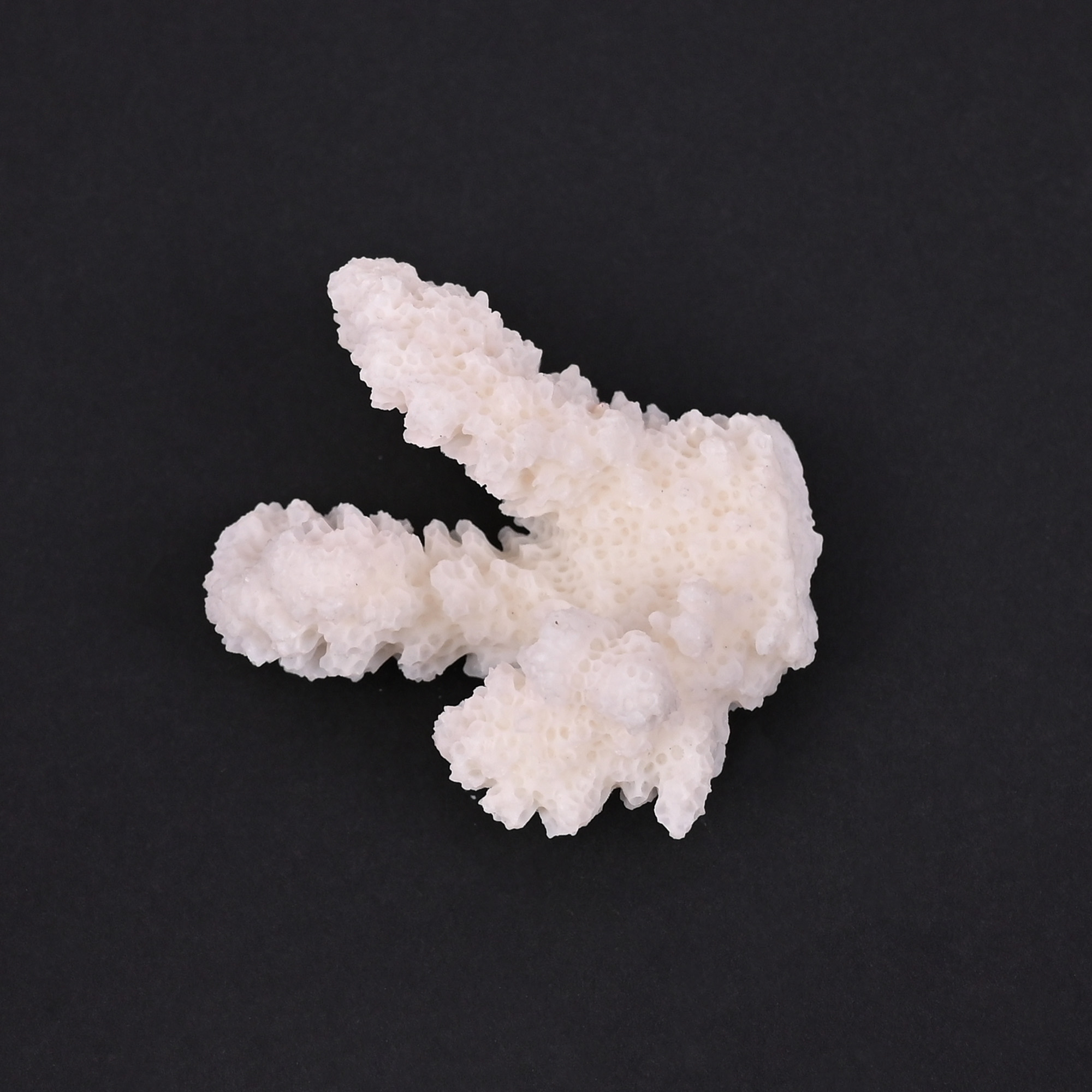 Natural White Coral Loose Gemstone 100 Carat Irregular 47x32 mm Raw Stone for Jewelry Making 1 Pcs
