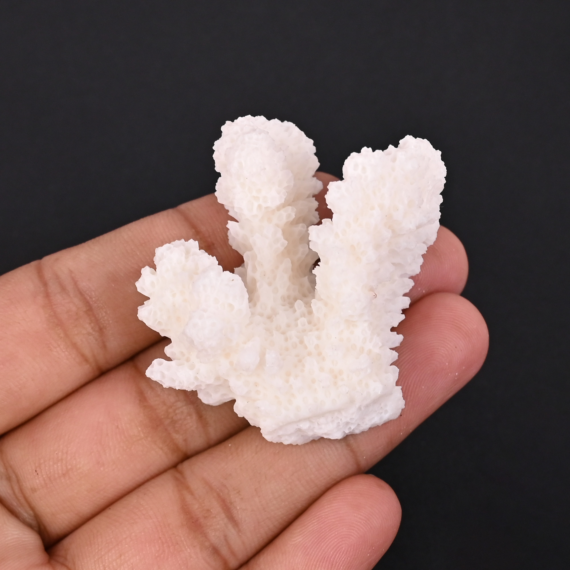 Natural White Coral Loose Gemstone 100 Carat Irregular 47x32 mm Raw Stone for Jewelry Making 1 Pcs