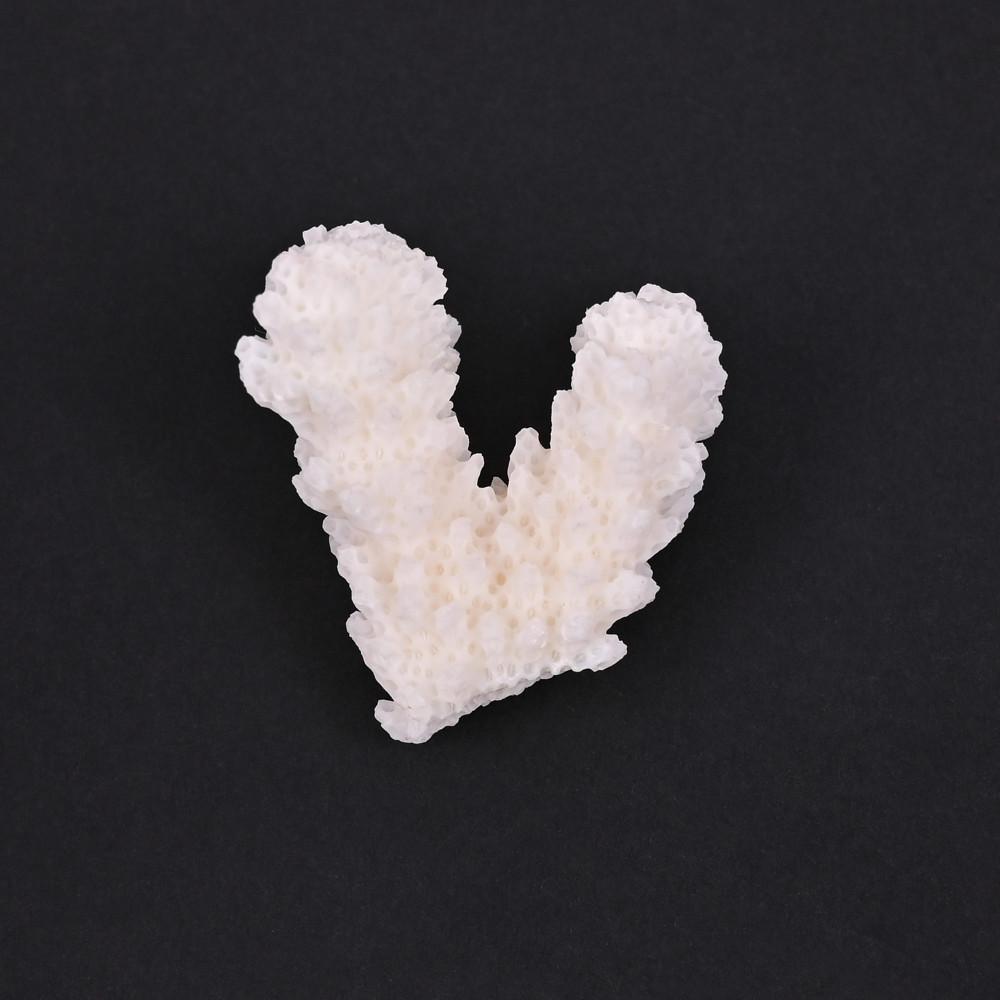 Image of Natural White Coral Loose Gemstone 75.3 Carat Irregular 39x34 mm Raw Stone for Jewelry Making | 1 Pcs