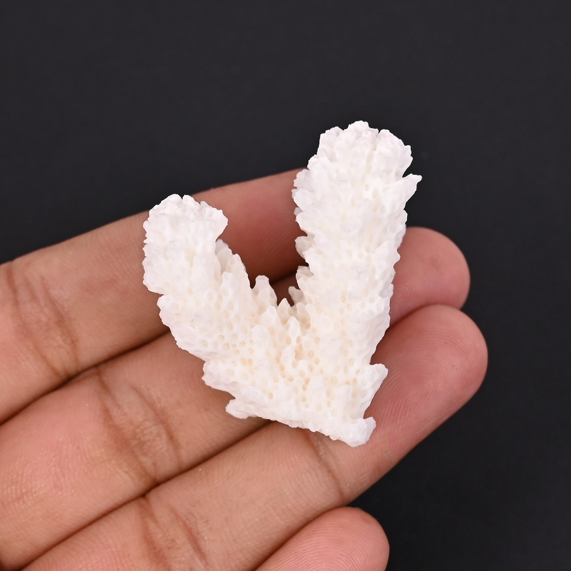Natural White Coral Loose Gemstone 753 Carat Irregular 39x34 mm Raw Stone for Jewelry Making 1 Pcs
