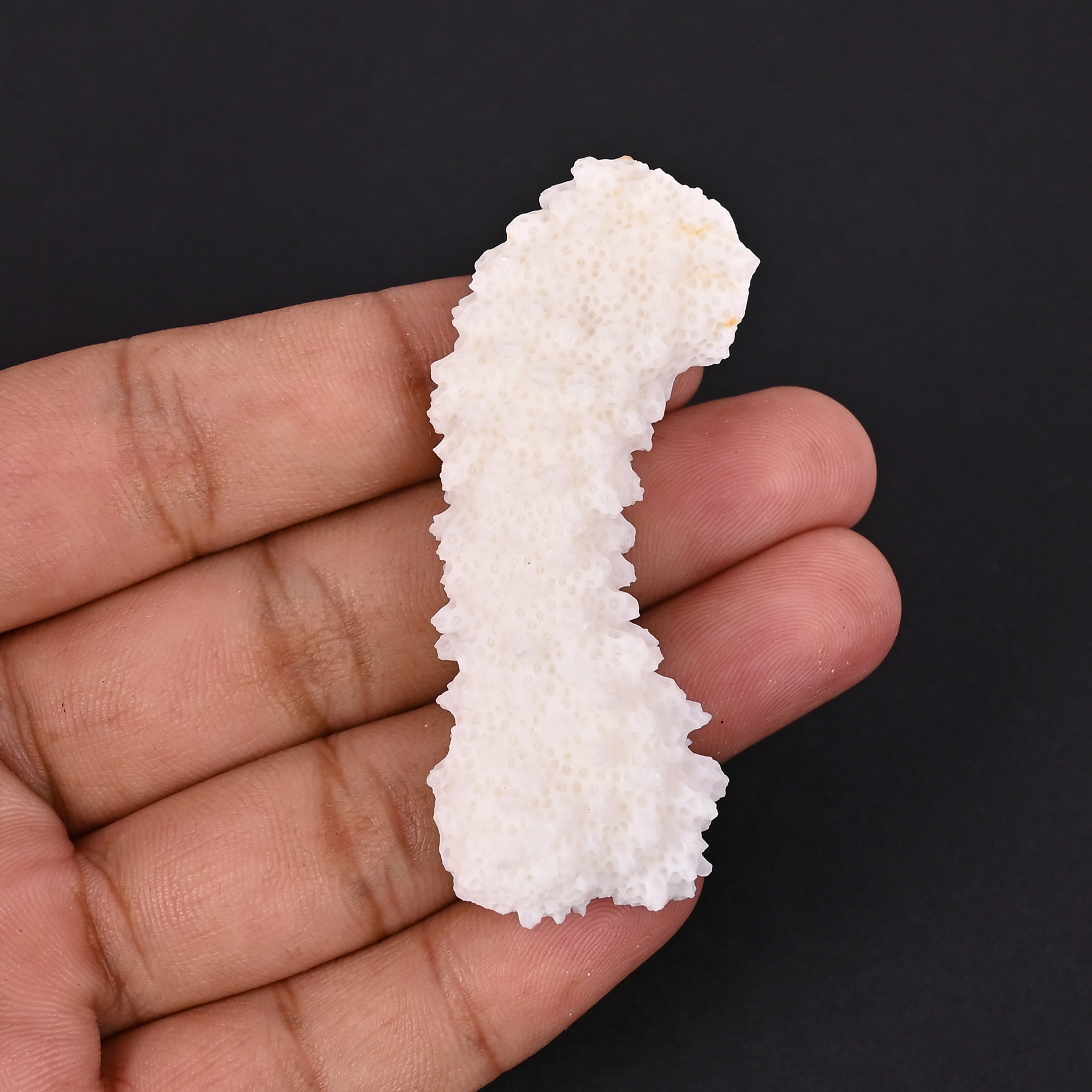 Natural White Coral Loose Gemstone 792 Carat Irregular 60x23 mm Raw Stone for Jewelry Making  1 Pcs