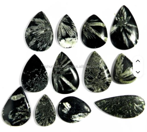 12 Pcs Natural Chrysanthemum Jasper 100 Gms Freeform Cabochon