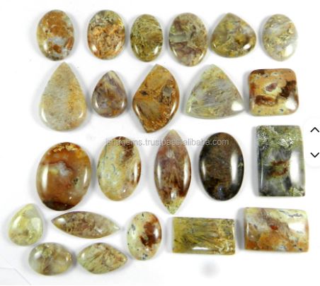 Ishu Gems 23pcs Free Form Polished Cabochon 100 Gms Natural Sagenite Jasper Loose Gemstones Model IG0150 for Jewelry Making