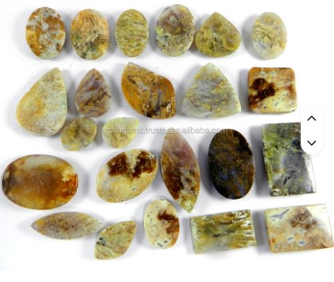 Ishu Gems 23pcs Free Form Polished Cabochon 100 Gms Natural Sagenite Jasper Loose Gemstones Model IG0150 for Jewelry Making