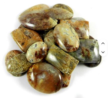 Ishu Gems 23pcs Free Form Polished Cabochon 100 Gms Natural Sagenite Jasper Loose Gemstones Model IG0150 for Jewelry Making