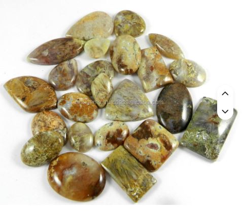 Ishu Gems 23pcs Free Form Polished Cabochon 100 Gms Natural Sagenite Jasper Loose Gemstones Model IG0150 for Jewelry Making