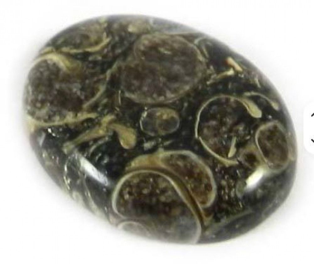 Image of Natural Turtella Jasper 20x26mm Oval Cabochon Loose Gemstone for Making Jewelry