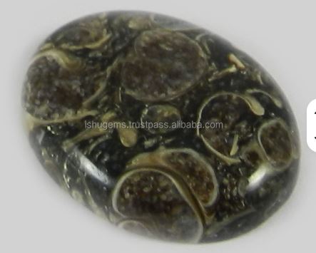 Natural Turtella Jasper 20x26mm Oval Cabochon Loose Gemstone for Making Jewelry