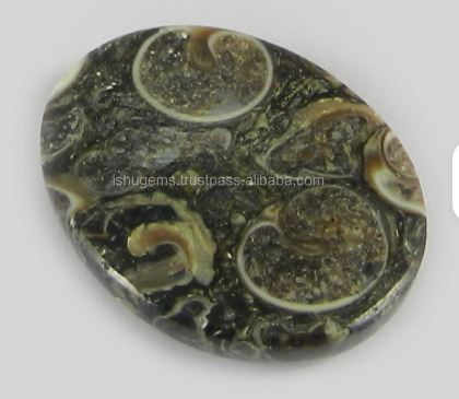 Natural Turtella Jasper 20x26mm Oval Cabochon Loose Gemstone for Making Jewelry