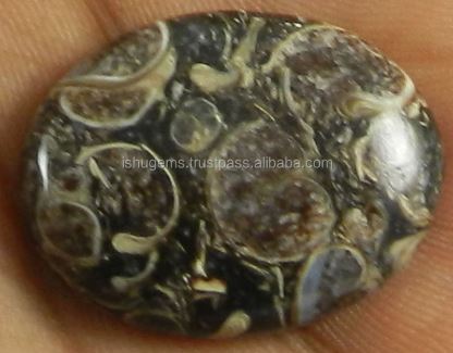 Natural Turtella Jasper 20x26mm Oval Cabochon Loose Gemstone for Making Jewelry