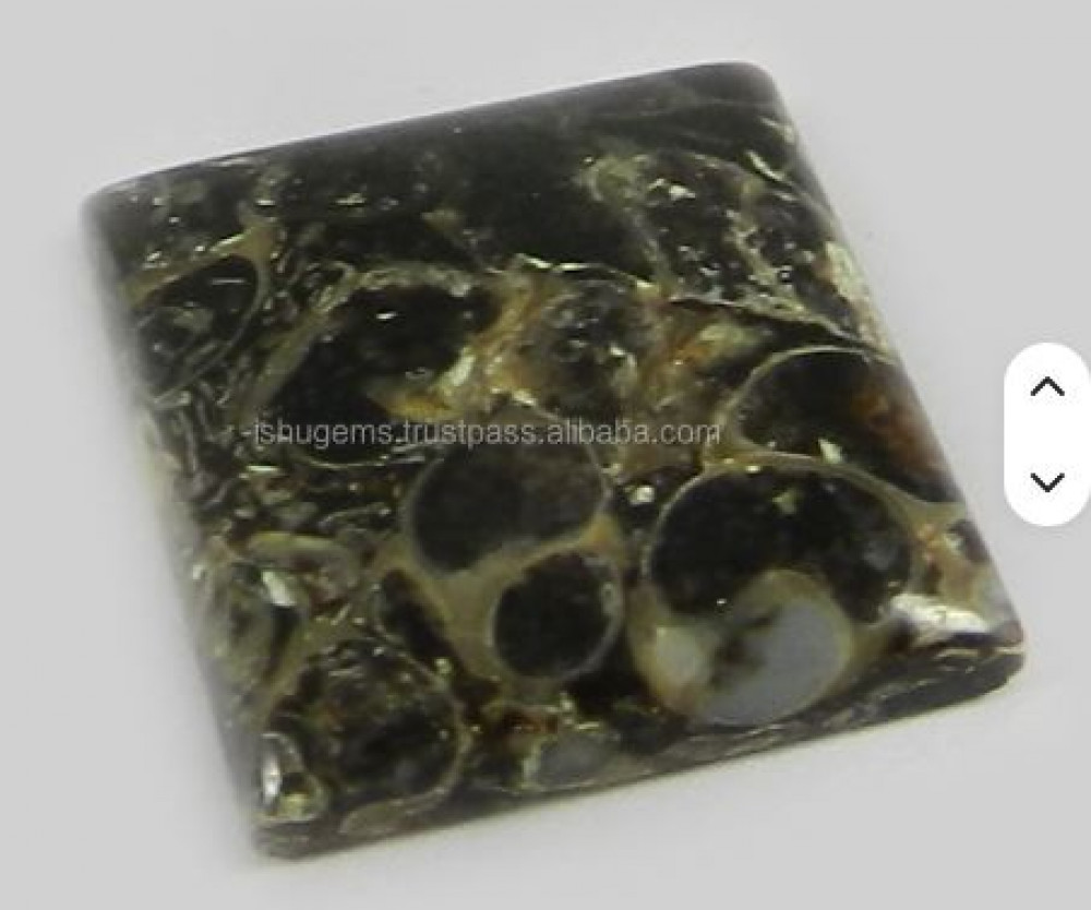 Image of 19 mm Natural Turritella jasper 3.40 gms Cushion Square Beautiful Cabochon gemstone