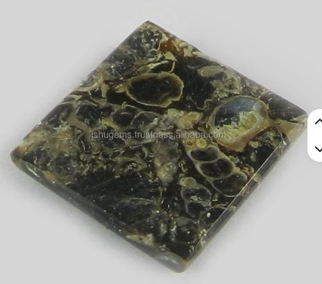 19 mm Natural Turritella jasper 340 gms Cushion Square Beautiful Cabochon gemstone