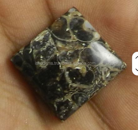 19 mm Natural Turritella jasper 340 gms Cushion Square Beautiful Cabochon gemstone