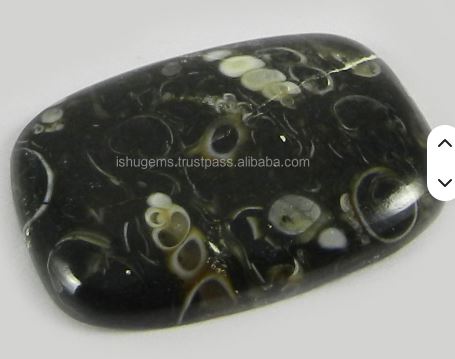 18x26mm Natural Turrtella jasper 375 gms Rectangle Cushion Beautiful Cabochon gemstone IG0224