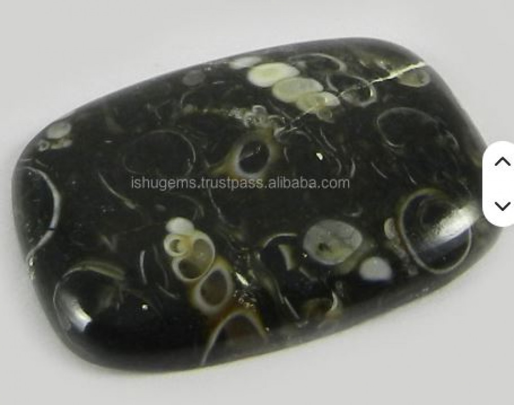 Image of 18x26mm Natural Turrtella jasper 3.75 gms Rectangle Cushion Beautiful Cabochon gemstone IG0224